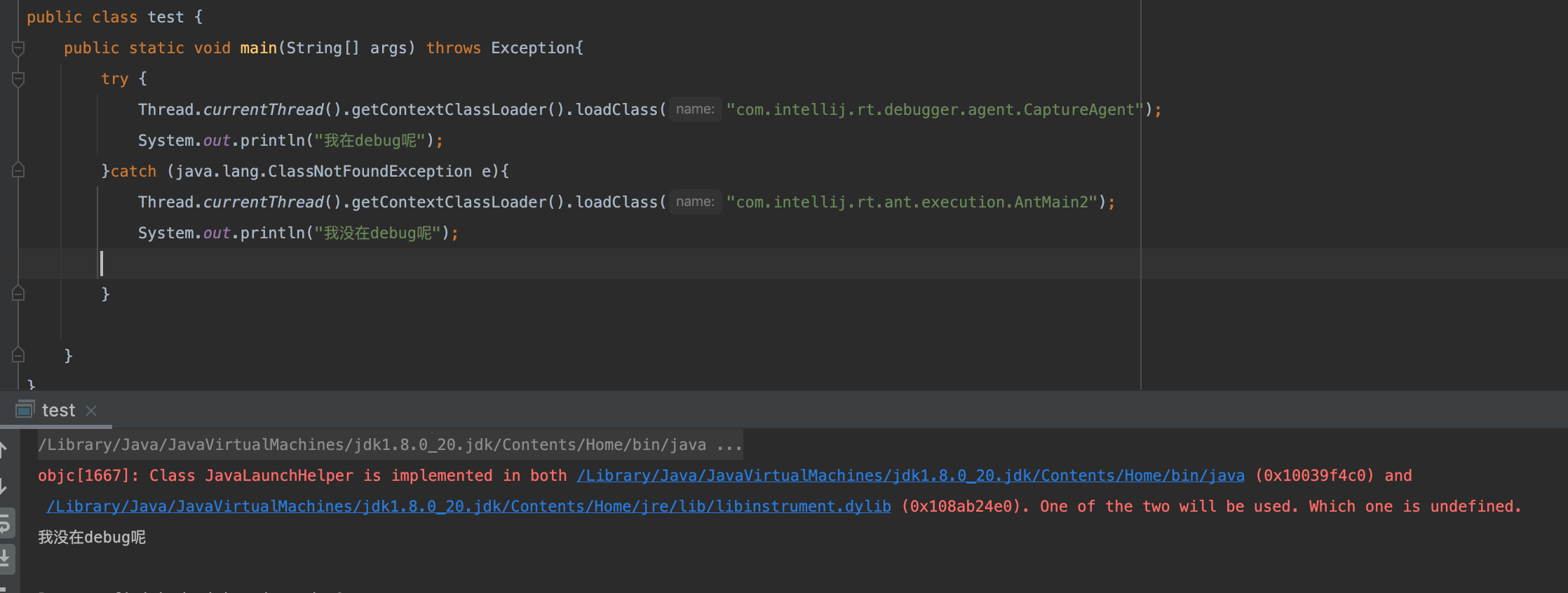  idea debug